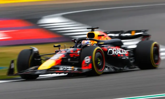Wache ha ascoltato Newey? La Red Bull in Ungheria senza i cannoni Mercedes!