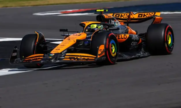 Horner: “Sconcertante la scelta McLaren di montare le Soft a Norris”