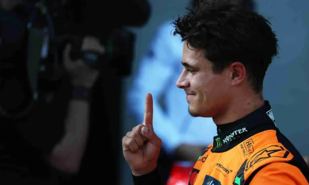 McLaren e Norris da urlo, Red Bull e Mercedes sciolte nel caldo